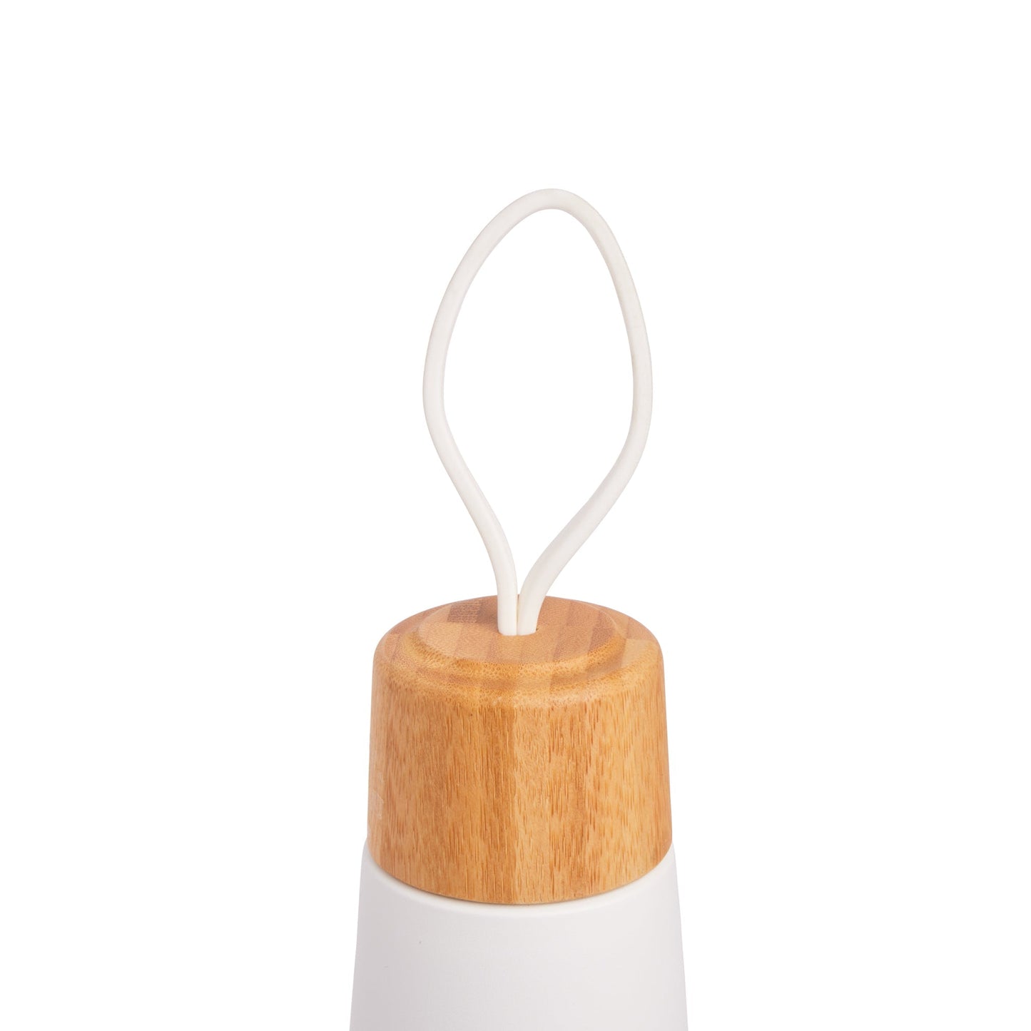 19 oz Dory Bottle Z5